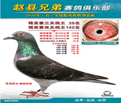 ��Ӣ�����ظ���39��