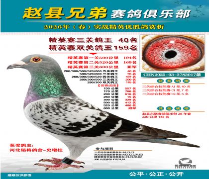 ��Ӣ�����ظ���40��