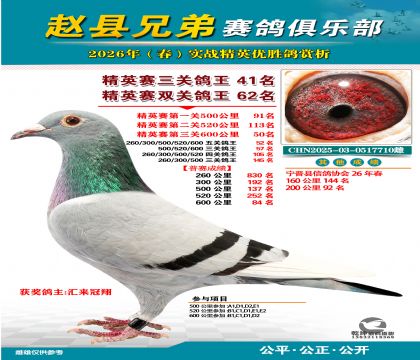 ��Ӣ�����ظ���41��