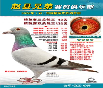 ��Ӣ�����ظ���43��