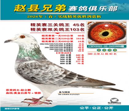 ��Ӣ�����ظ���45��