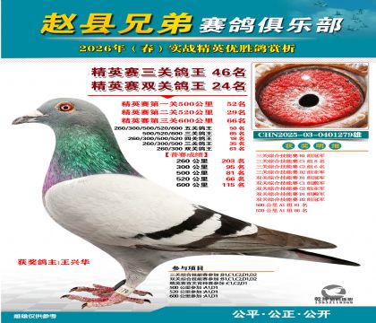 ��Ӣ�����ظ���46��