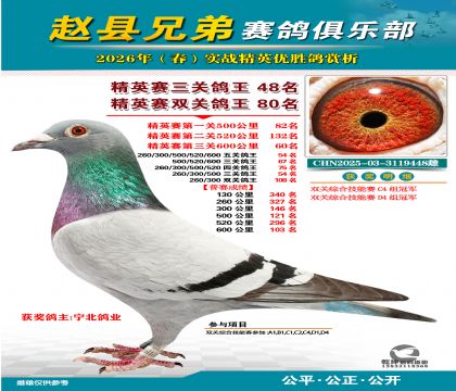 ��Ӣ�����ظ���48��