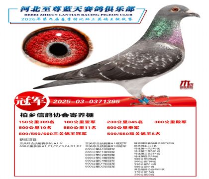 �����������ظ����ھ�