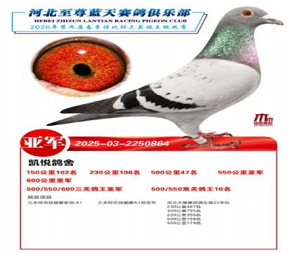 �����������ظ����Ǿ�