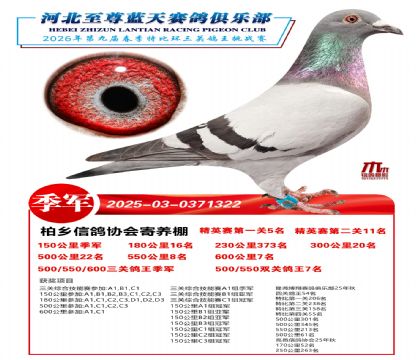 �����������ظ�������