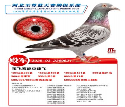 �����������ظ���4��