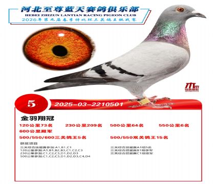 �����������ظ���5��