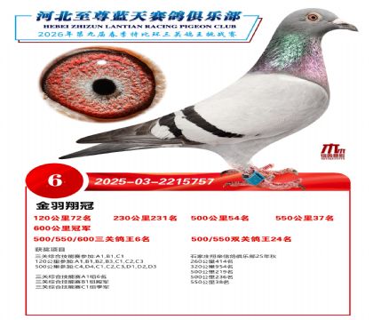 �����������ظ���6��