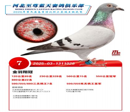 �����������ظ���7��