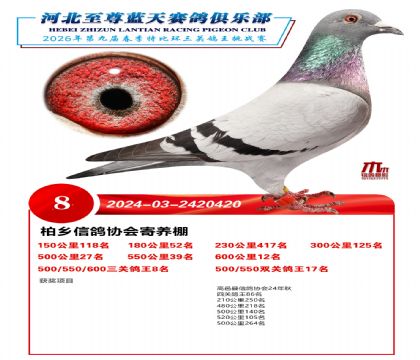 �����������ظ���8��