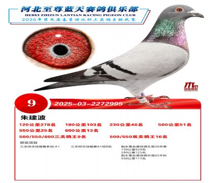 �����������ظ���9��