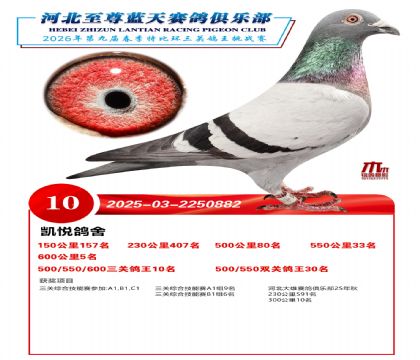 �����������ظ���10��