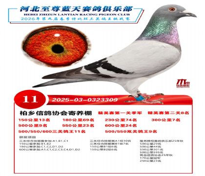 �����������ظ���11��