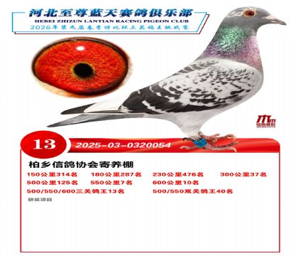 �����������ظ���13��