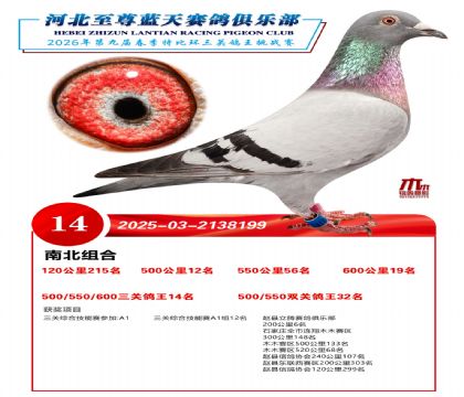 �����������ظ���14��