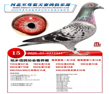 �����������ظ���15��