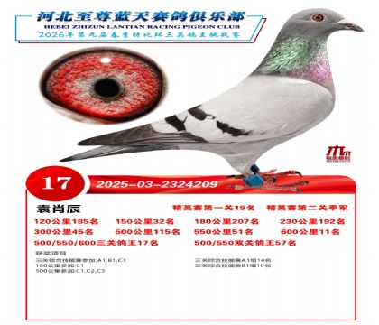 �����������ظ���17��