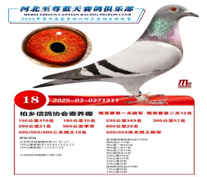 �����������ظ���18��