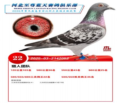 �����������ظ���22��