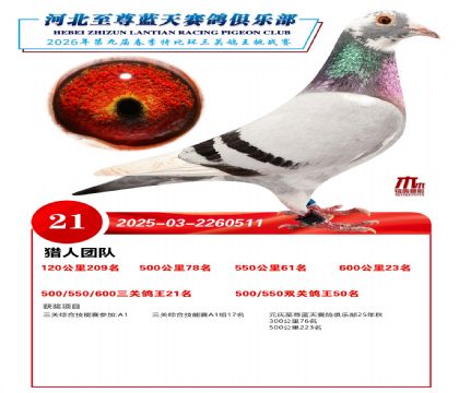 �����������ظ���21��