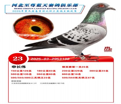 �����������ظ���23��