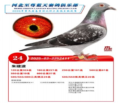 �����������ظ���24��