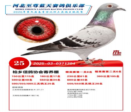 �����������ظ���25��