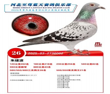 �����������ظ���26��