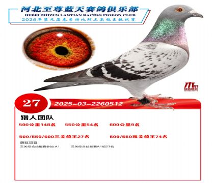 �����������ظ���27��