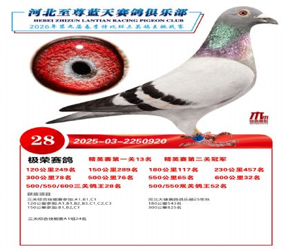 �����������ظ���28��