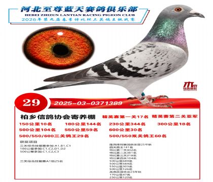 �����������ظ���29��