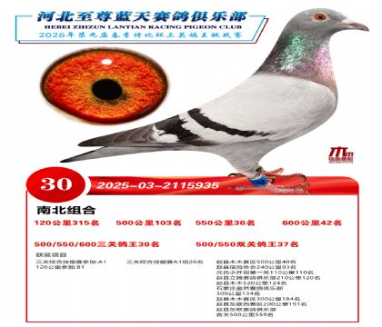 �����������ظ���30��