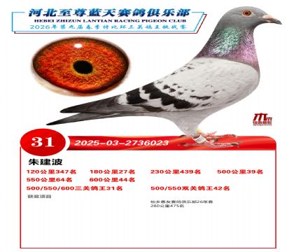 �����������ظ���31��