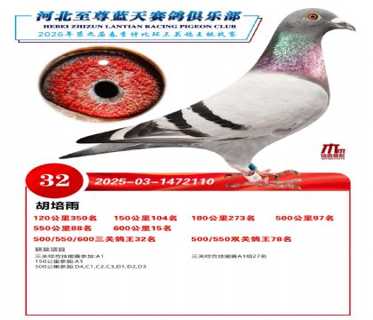 �����������ظ���32��