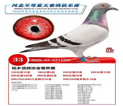 �����������ظ���33��