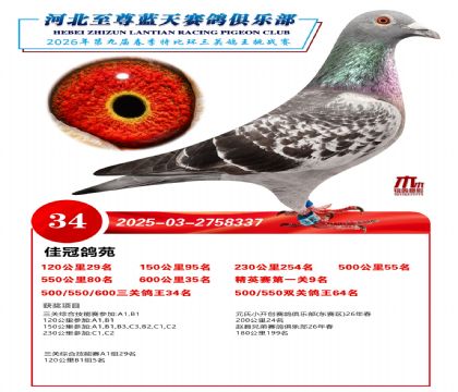 �����������ظ���34��