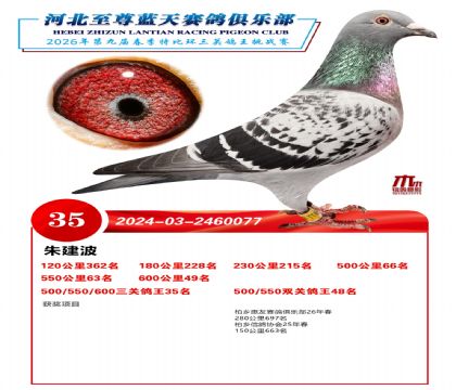 �����������ظ���35��