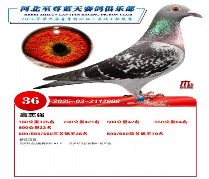 �����������ظ���36��