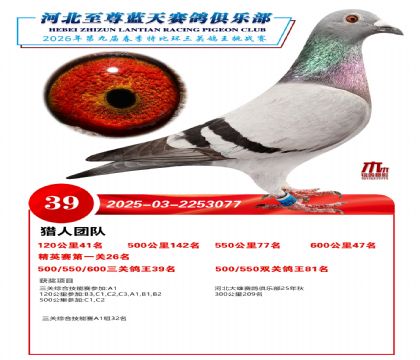 �����������ظ���39��