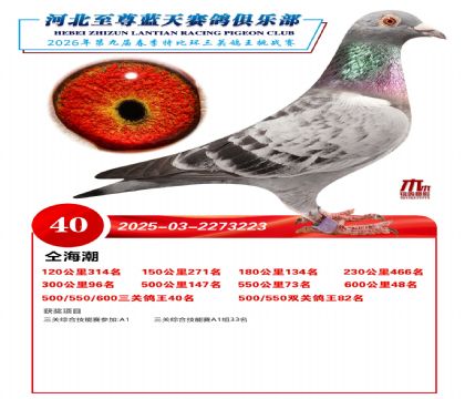 �����������ظ���40��