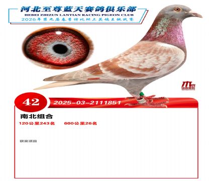 ��������600����26��