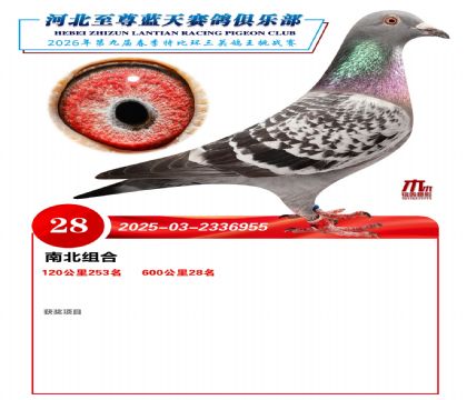 ��������600����28��