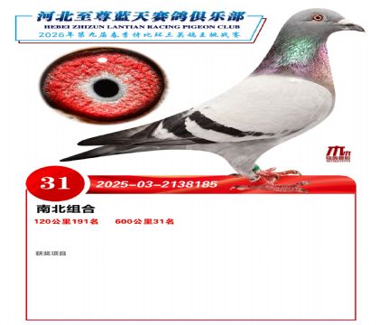 ��������600����31��