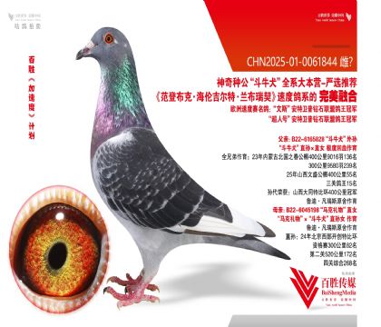 ��ţȮ ���ض� ƽ�������-0061844