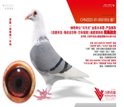 ���ǲ���9992 ȫƽ��113��-0061856