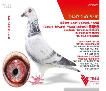 ���ض� ��ţȮ-0061862