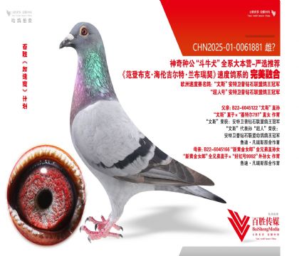 ��˹ ���� ���ض�-0061881