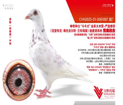 ��ţȮ ���ض� ƽ�������-0061887