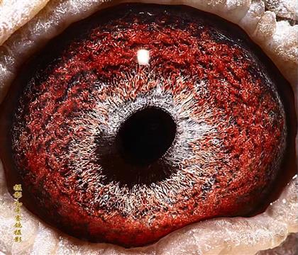 ����յĸ���